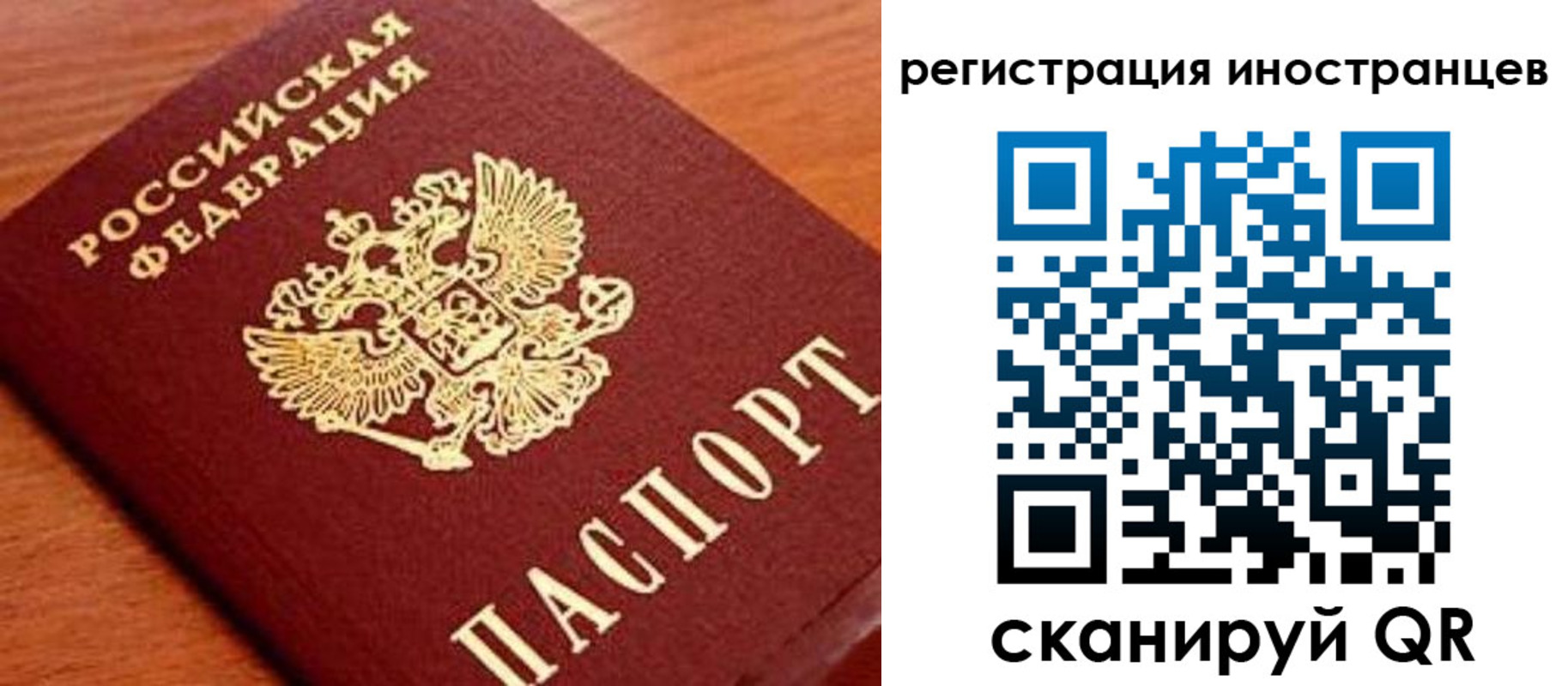 временная регистрация поиск в Славгороде